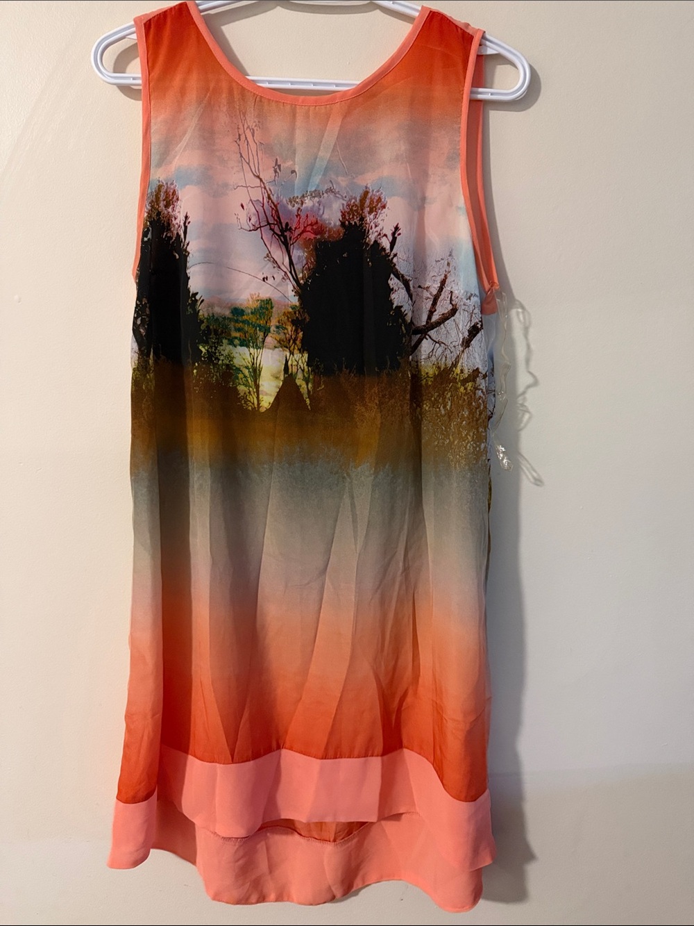 Sleeveless Coral Ombre Scenic Print Tunic Top